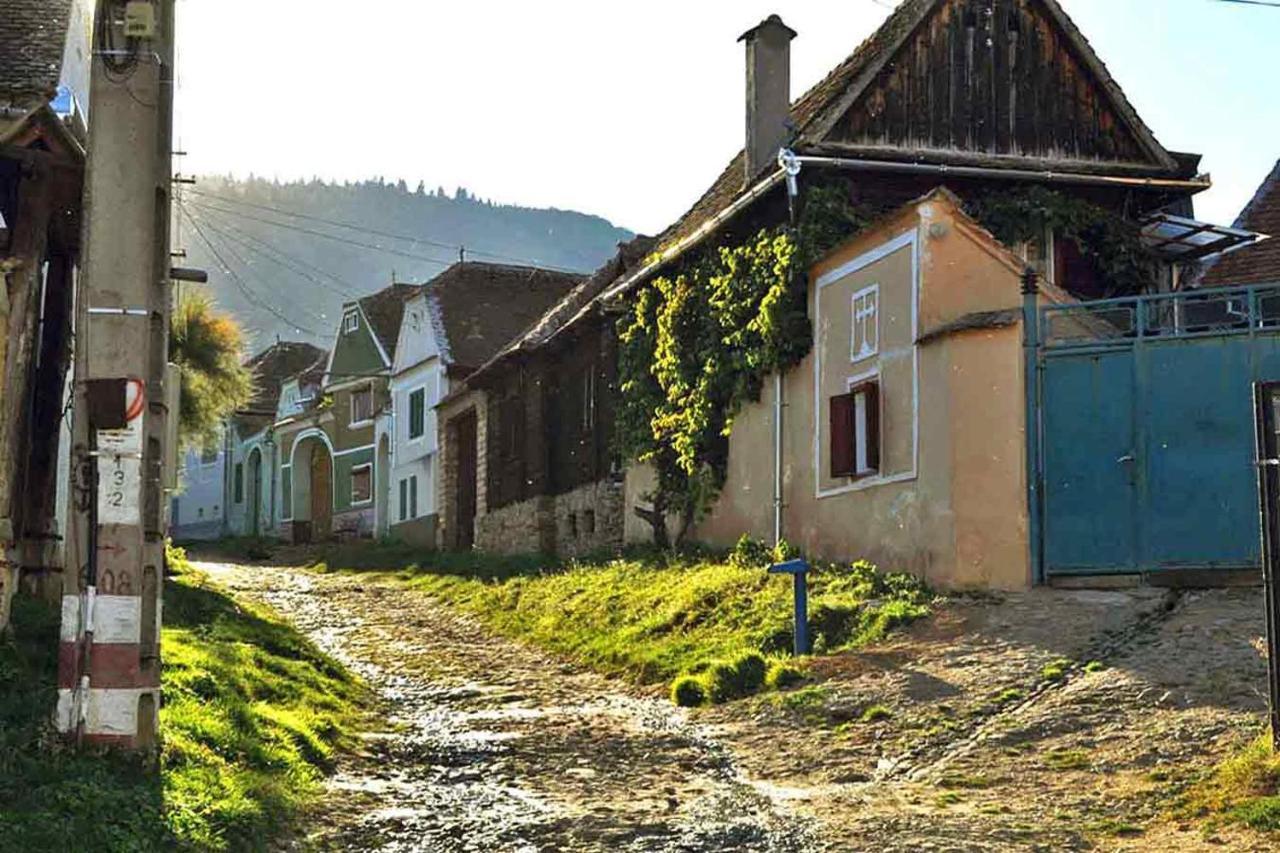 Apartament Casa Zollo Sălişte Zewnętrze zdjęcie