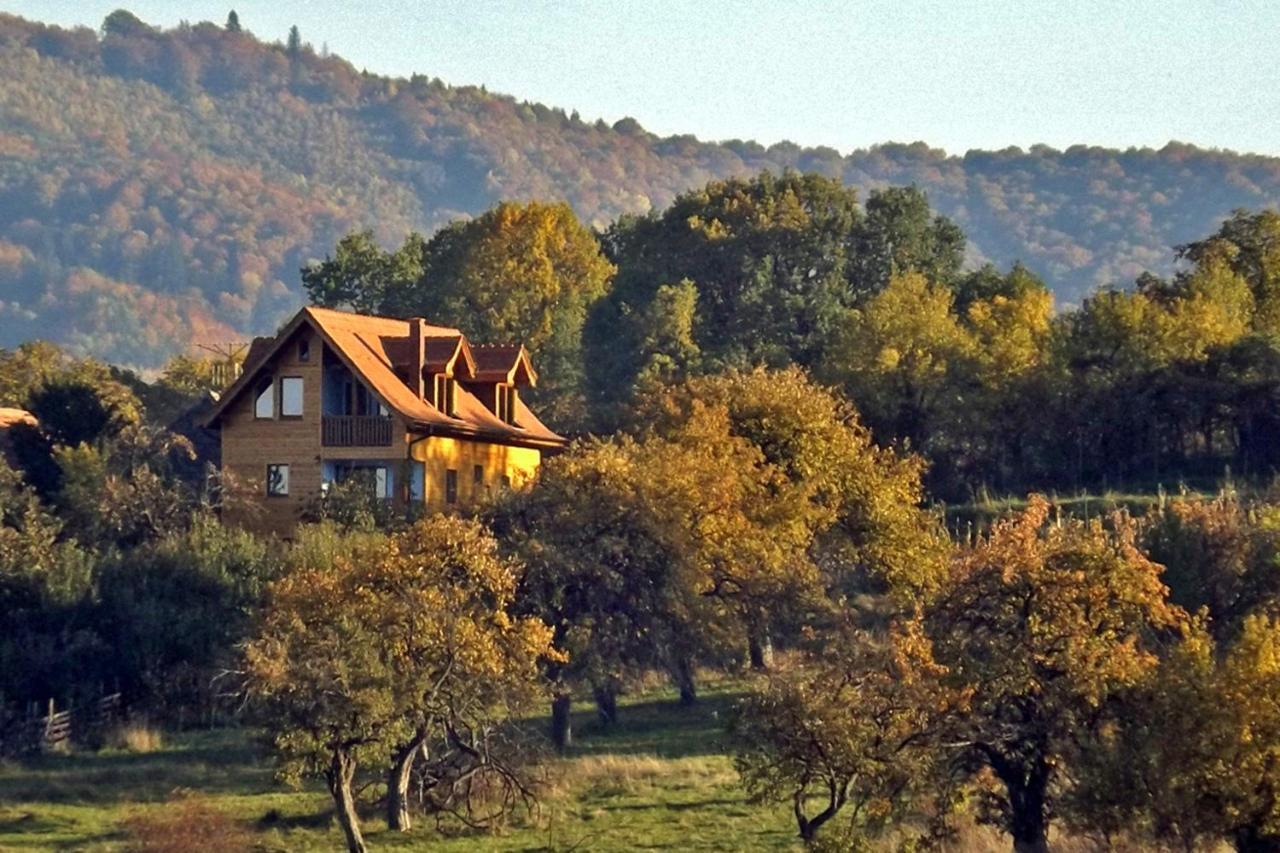 Apartament Casa Zollo Sălişte Zewnętrze zdjęcie
